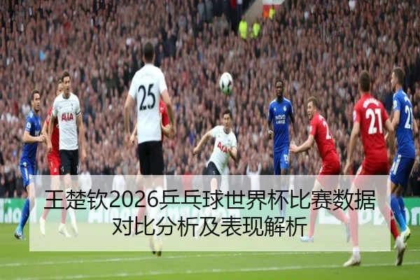 王楚钦2026乒乓球世界杯比赛数据对比分析及表现解析
