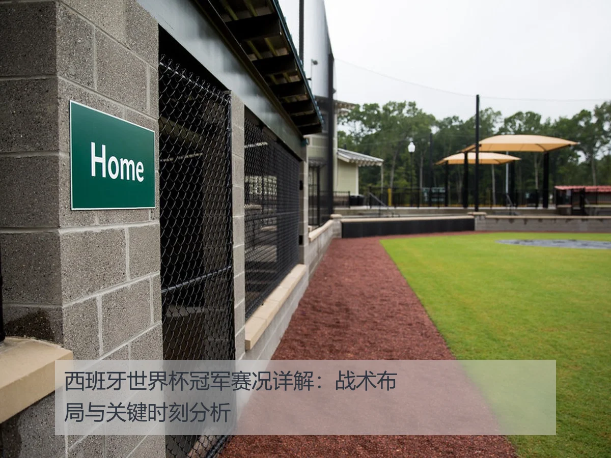 西班牙世界杯冠军赛况详解:战术布局与关键时刻分析